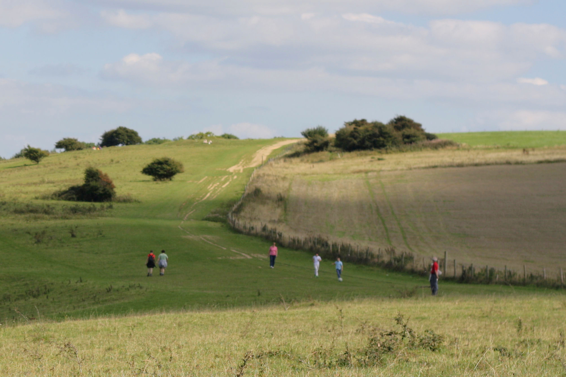 image of South Downs National Park - On Ditchling Beacon