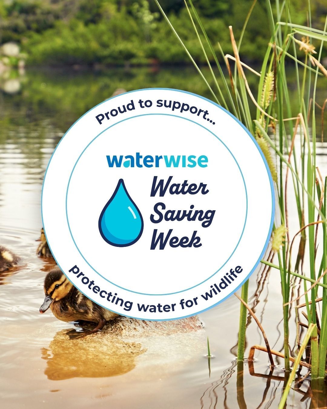 Proud to Support Waterwise image