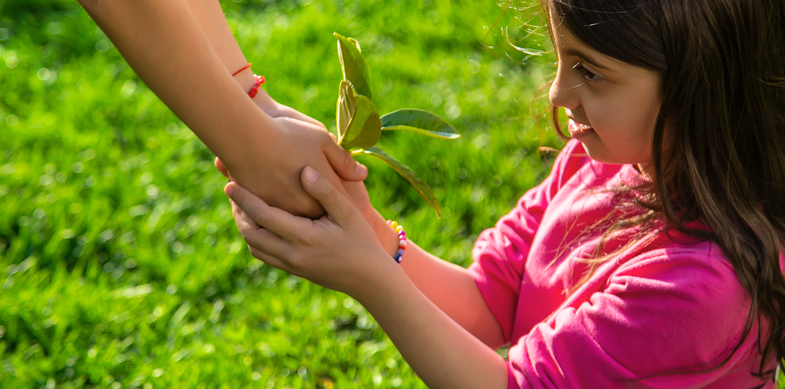 Children care for a sapling